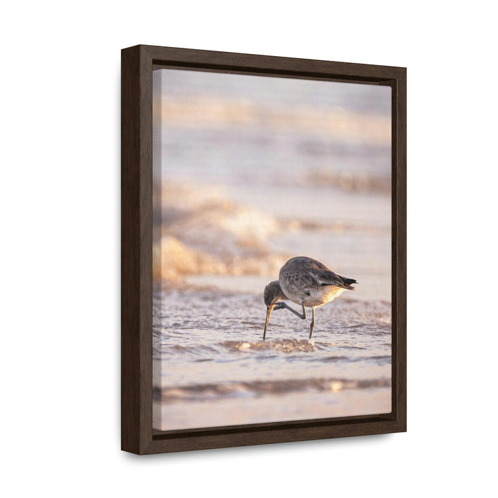 Willet Itch - Canvas with Frame