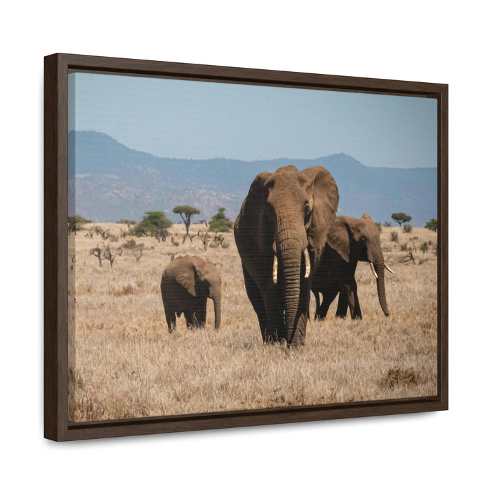 Family March - Canvas With Frame