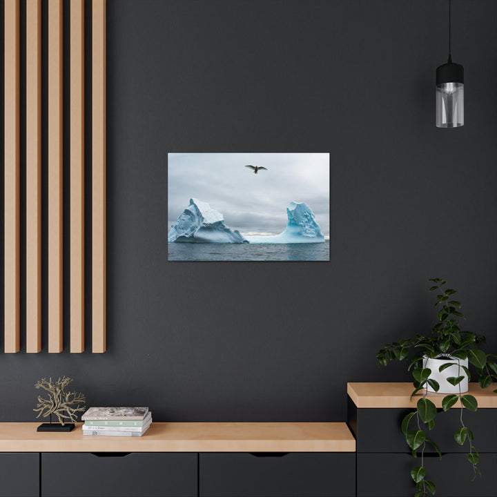 Antarctic Flight - Canvas