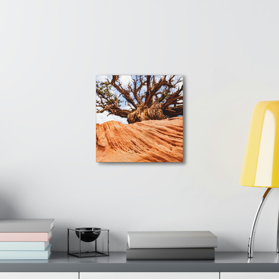 Desert Reach - Canvas