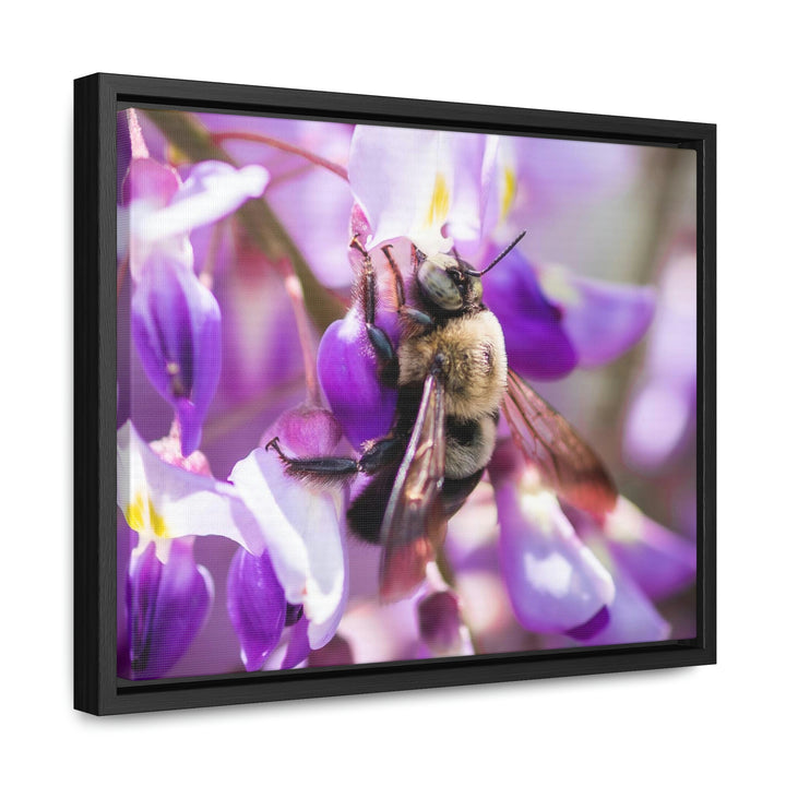 Hungry Visitor - Canvas with Frame