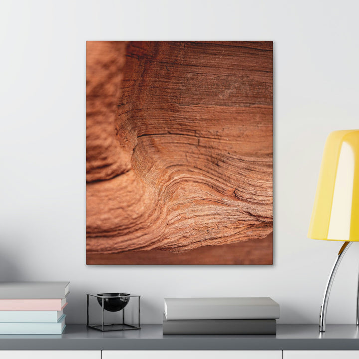 Sedimentary Rock Curves - Canvas