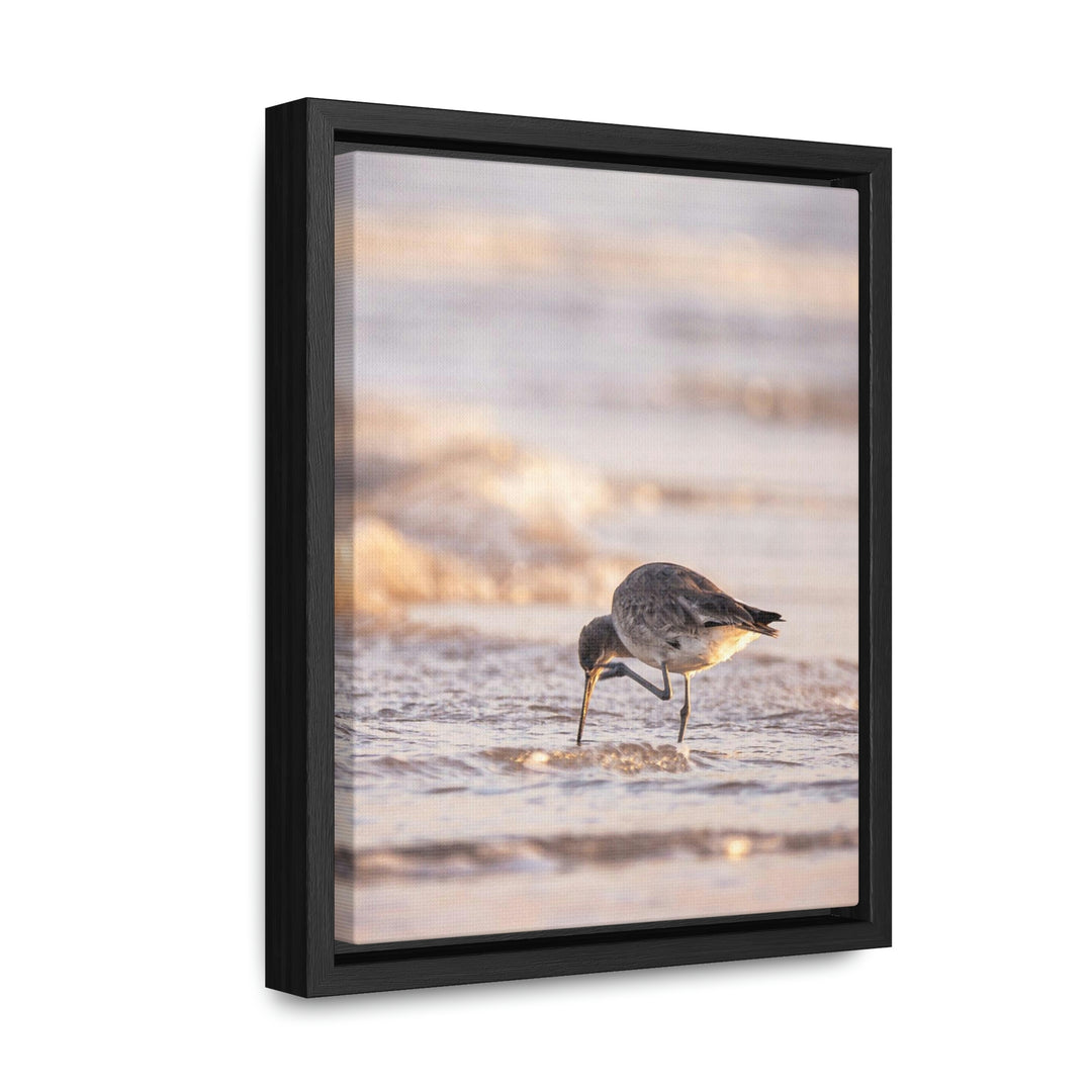 Willet Itch - Canvas with Frame