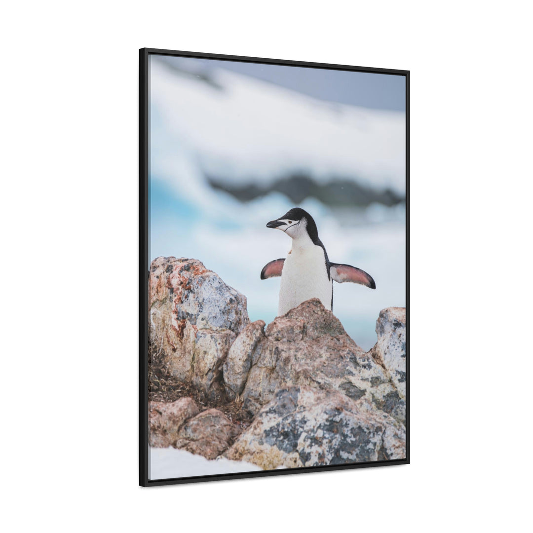 Stretched Penguin - Canvas with Frame