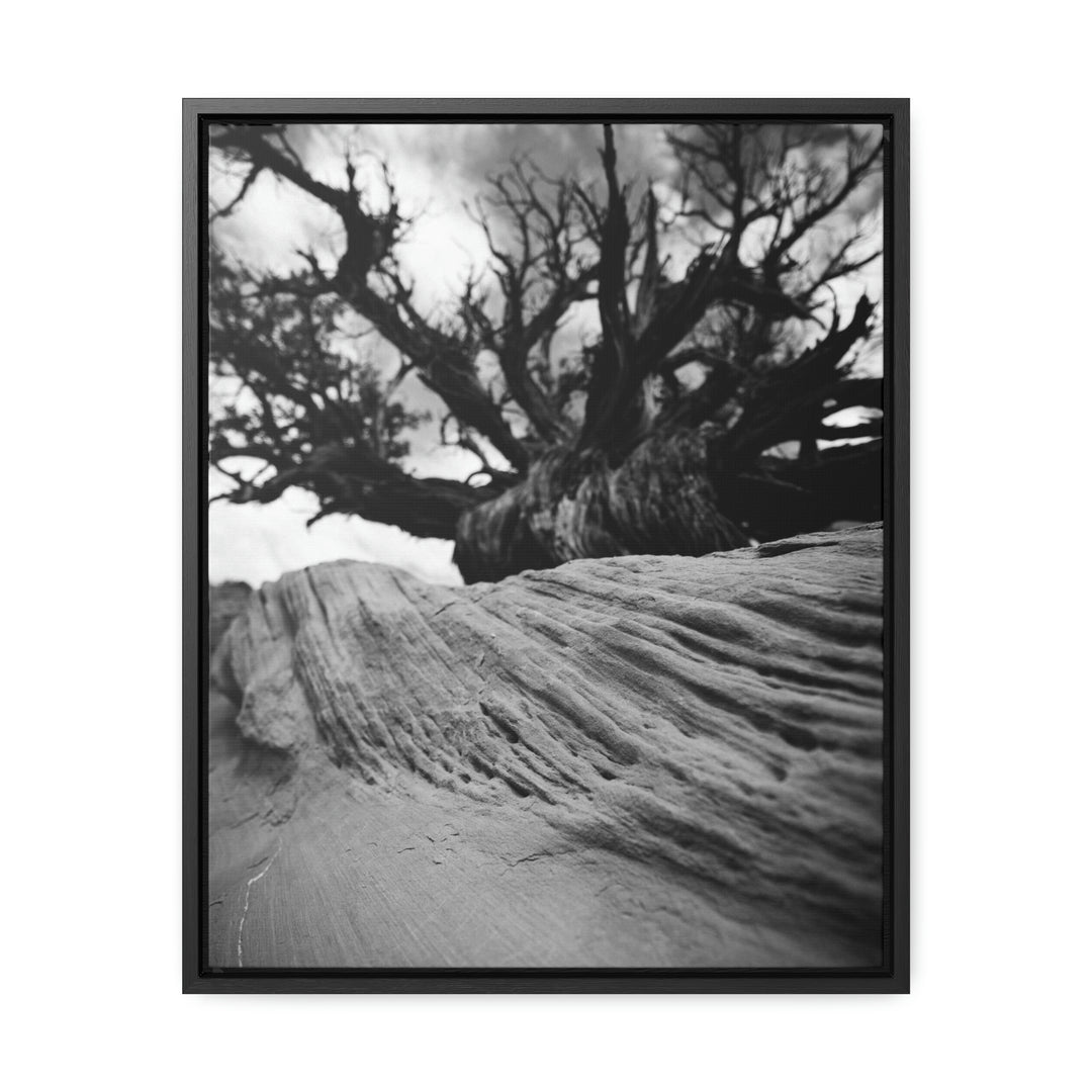 Desert Reach in Black and White - Canvas with Frame