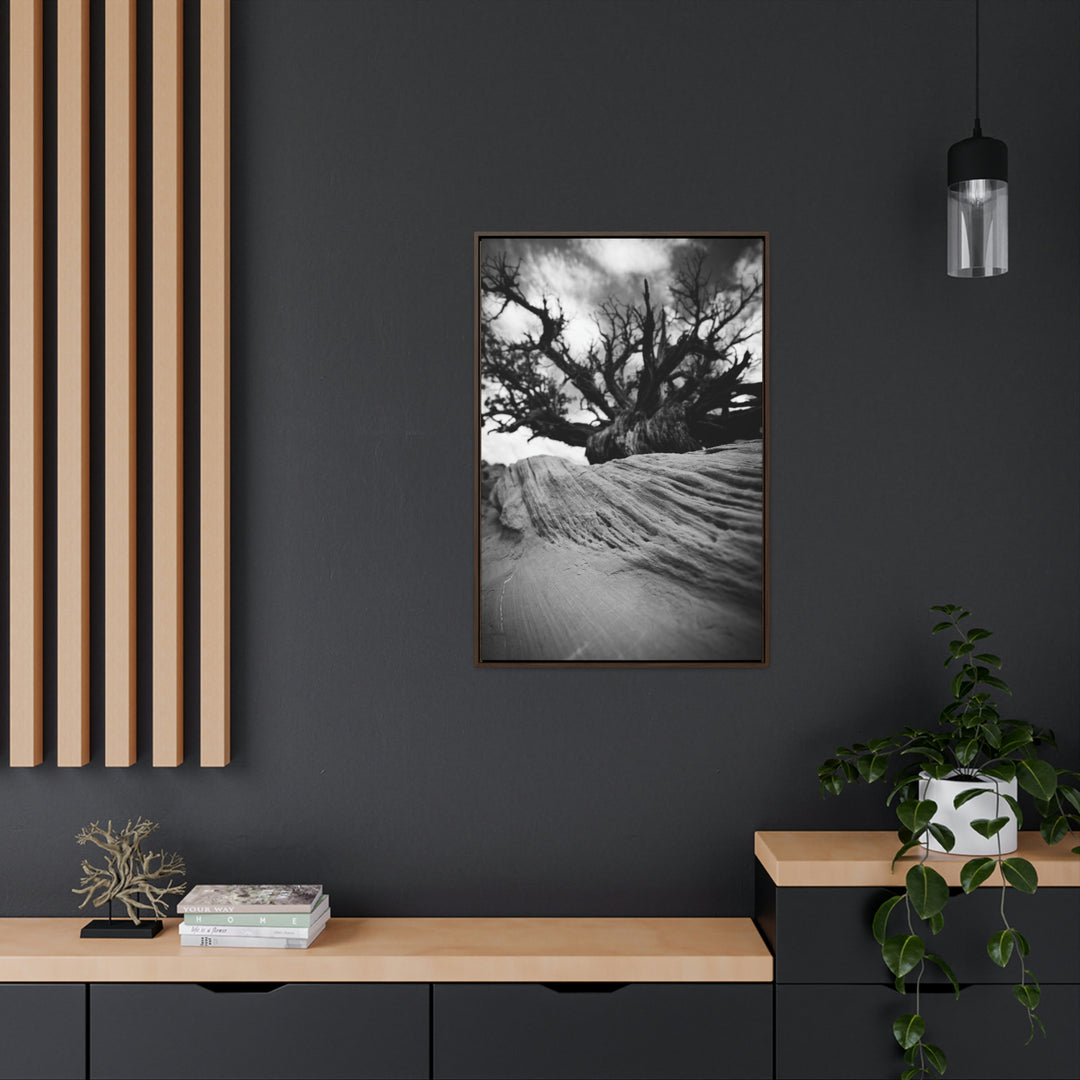 Desert Reach in Black and White - Canvas with Frame