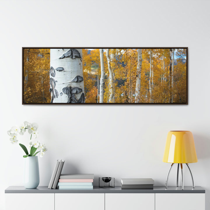 Aspens Changing - Canvas with Frame