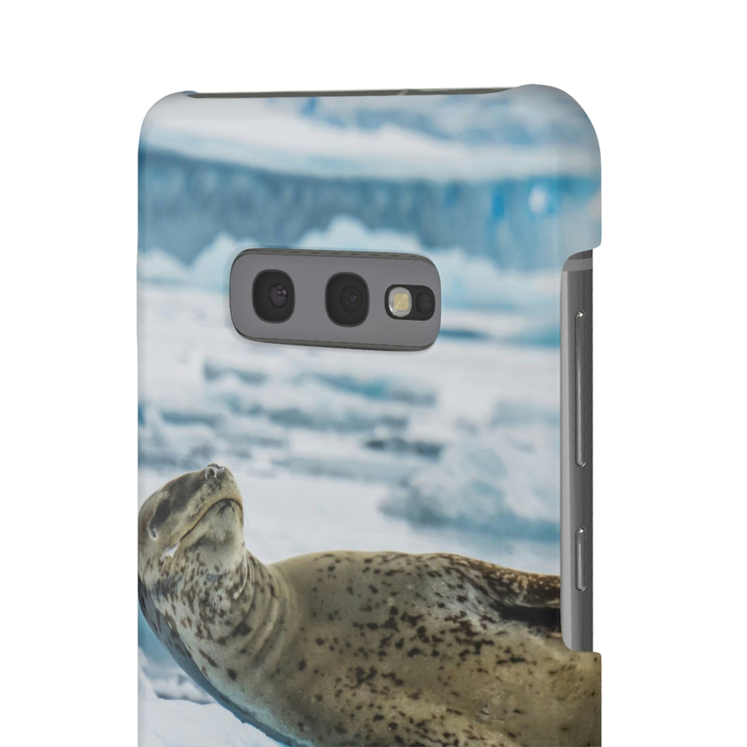 Leopard Seal Relaxing - Phone Case