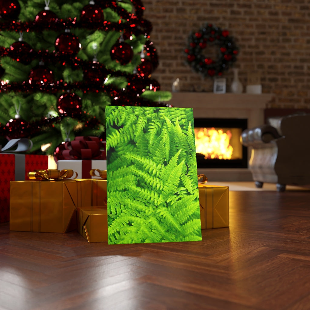 Ferns, Ferns, Ferns - Canvas