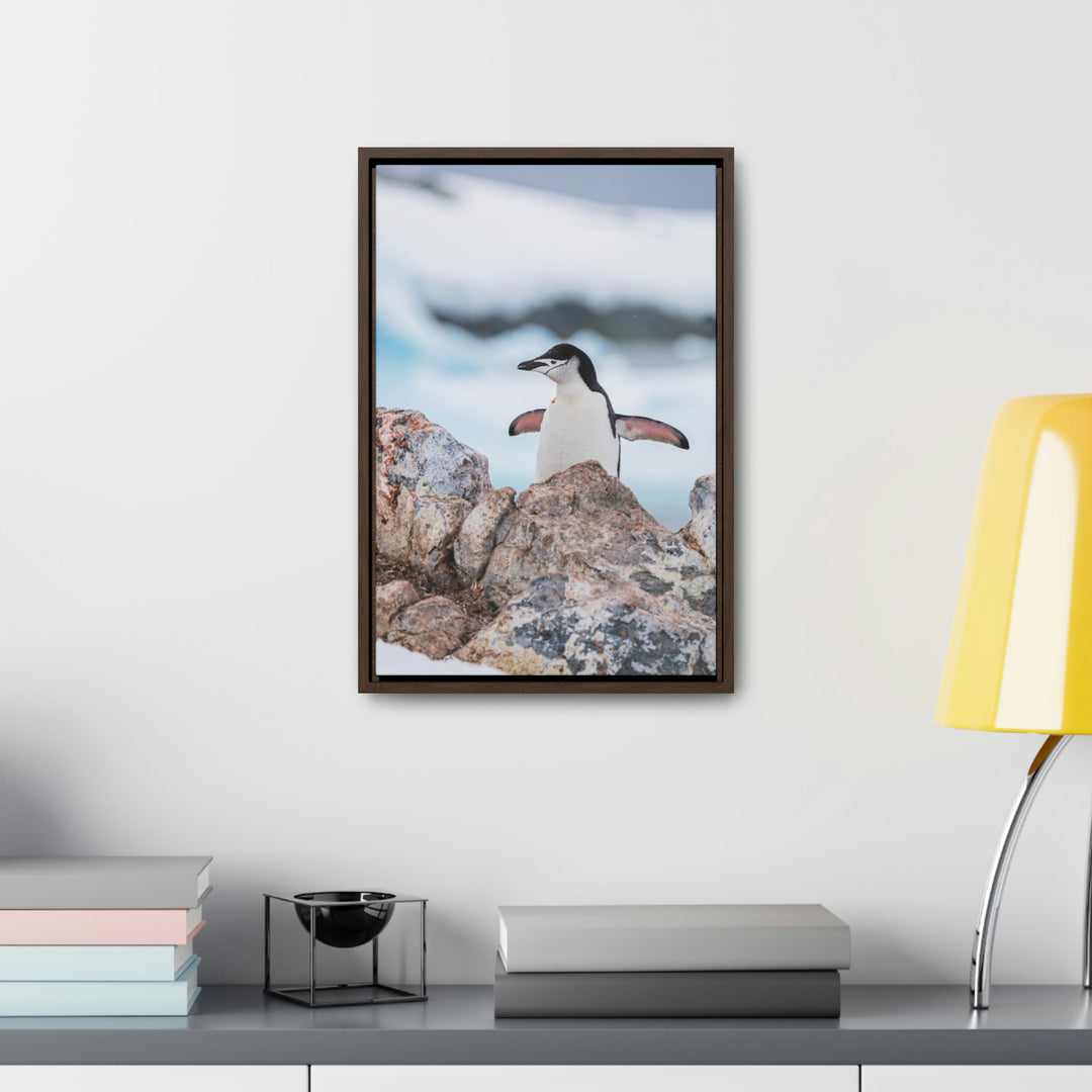 Stretched Penguin - Canvas with Frame