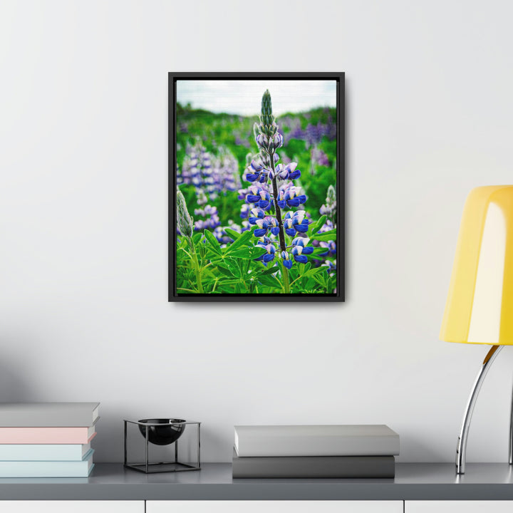 Glowing Lupin - Canvas with Frame