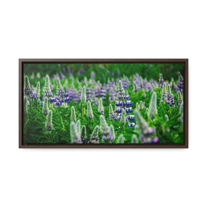 Glowing Lupin with Mountains - Canvas with Frame