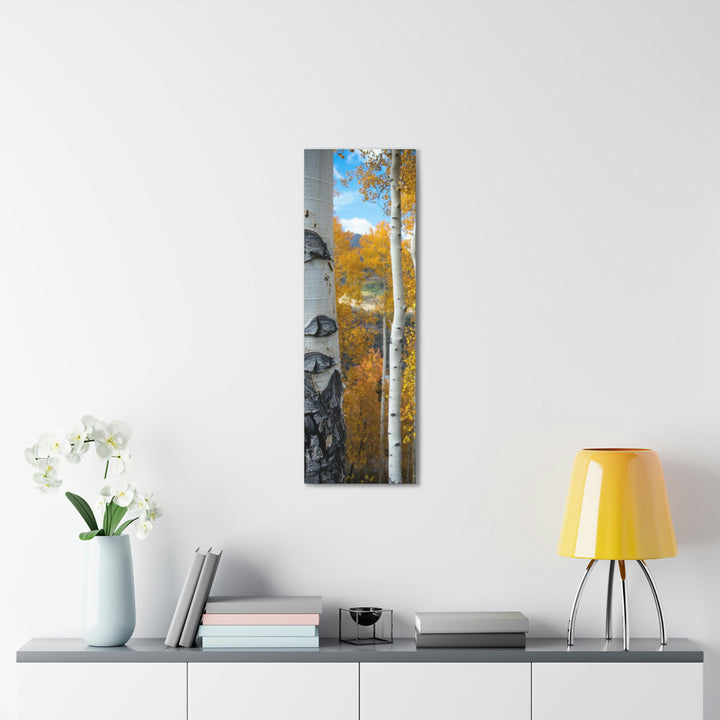 Aspens Changing - Canvas