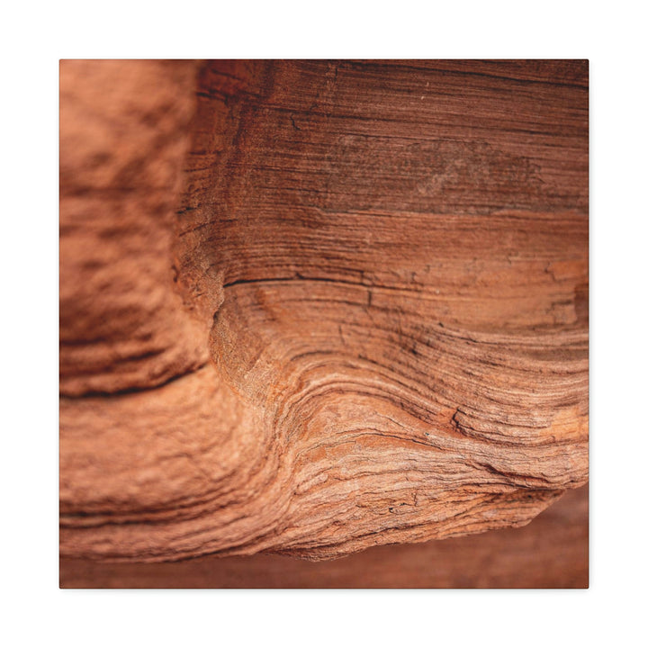 Sedimentary Rock Curves - Canvas