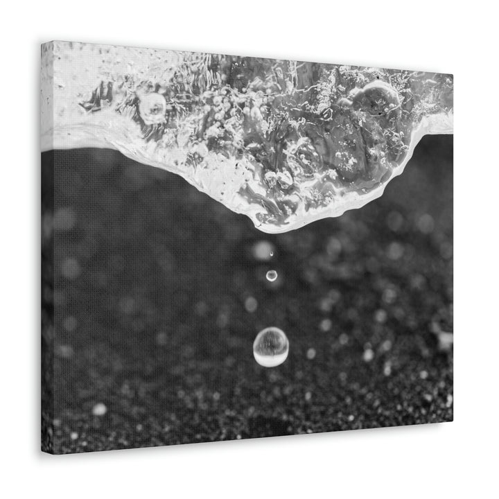 Suspended Droplet - Canvas