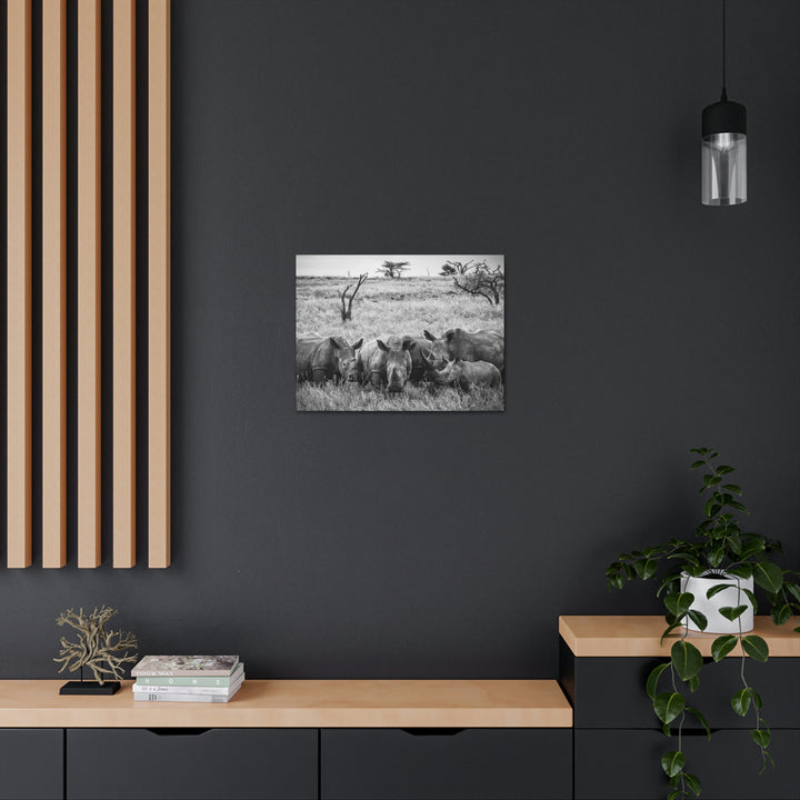 Rhino Family in Black and White - Canvas