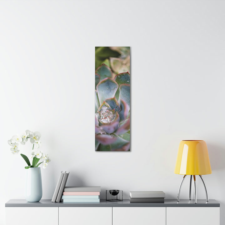 Stunning Succulent - Canvas