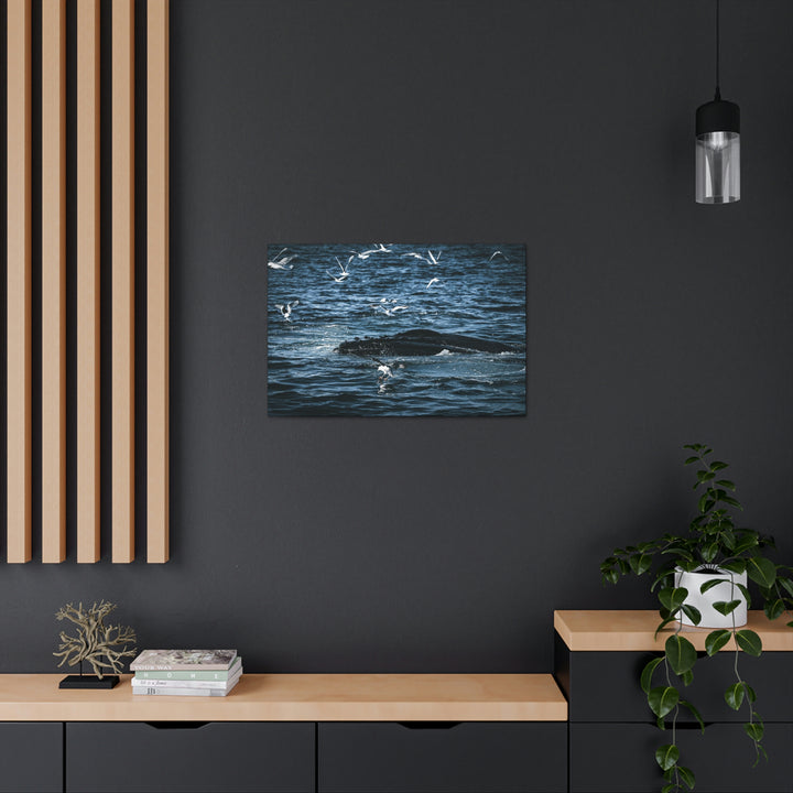 Humpback Hello - Canvas