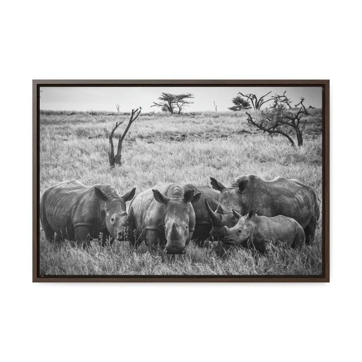 Rhino Family in Black and White - Canvas with Frame