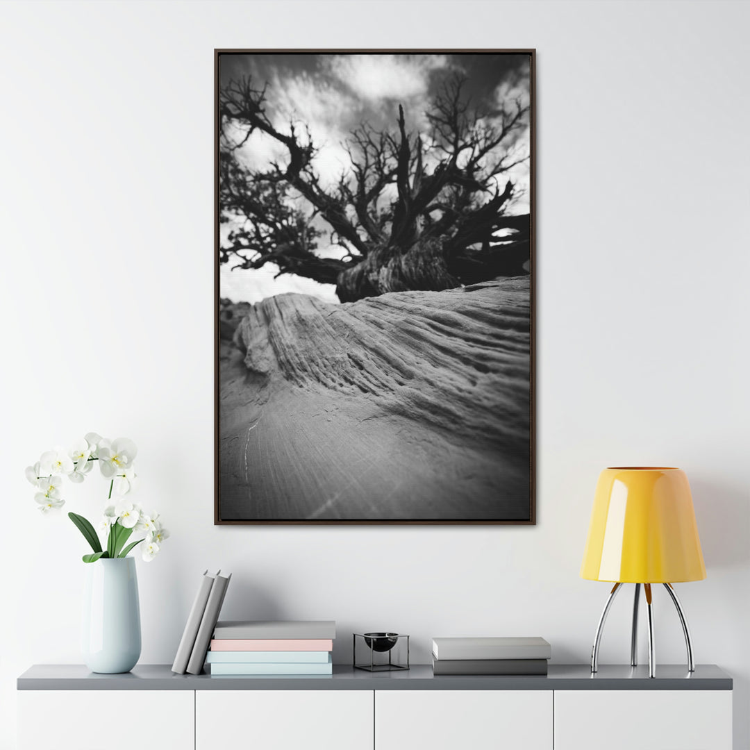 Desert Reach in Black and White - Canvas with Frame