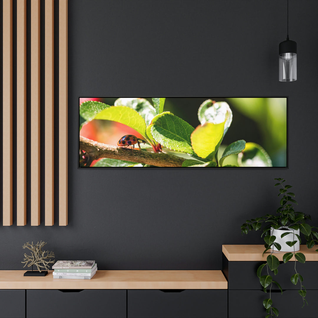 Spotted Investigation - Canvas with Frame