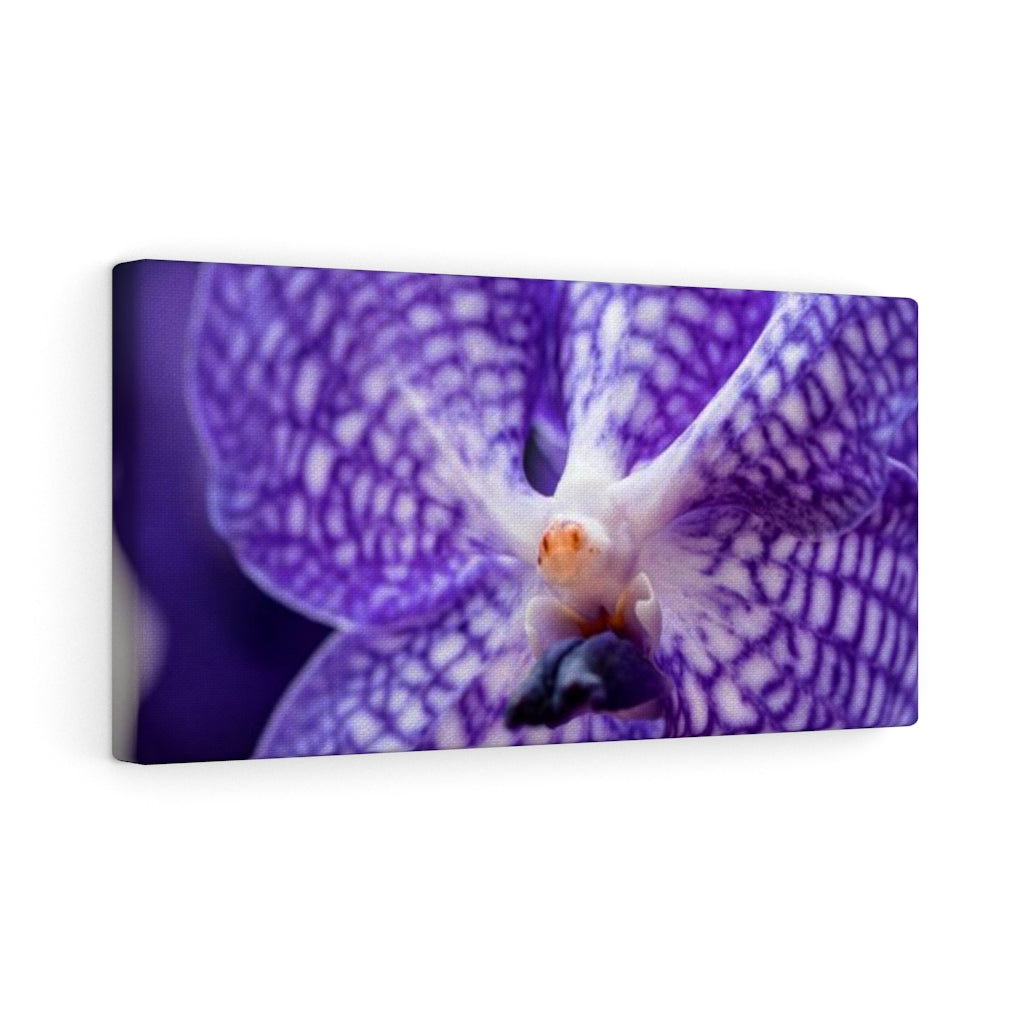 Orchid Detail - Canvas