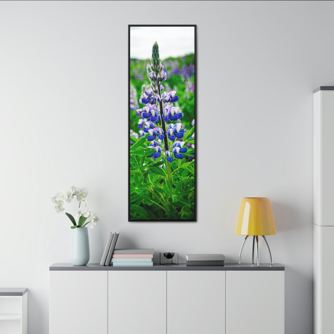 Glowing Lupin - Canvas with Frame