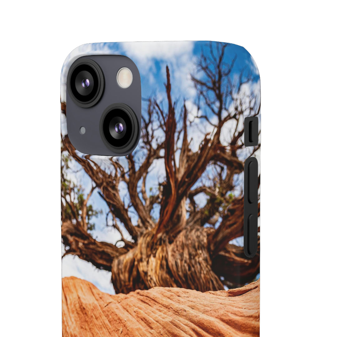 Desert Reach - Phone Case