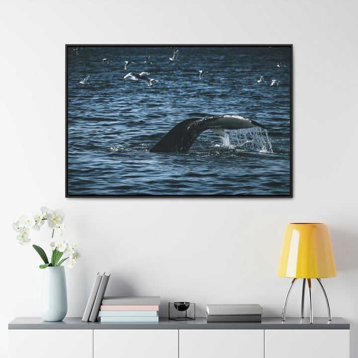 Feeding Tail - Canvas with Frame