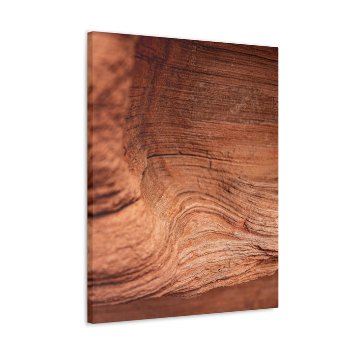 Sedimentary Rock Curves - Canvas