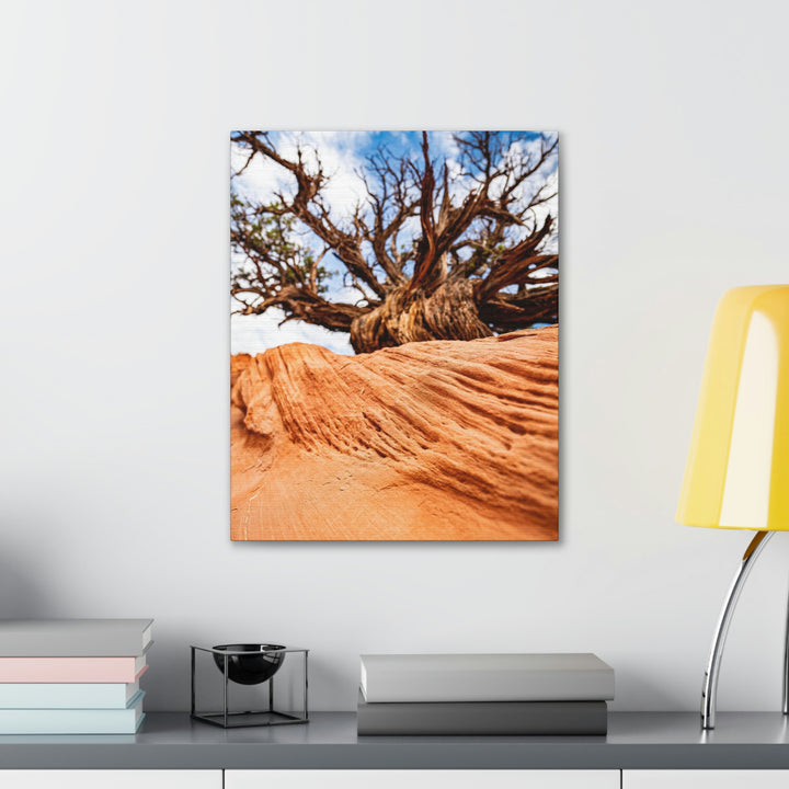 Desert Reach - Canvas