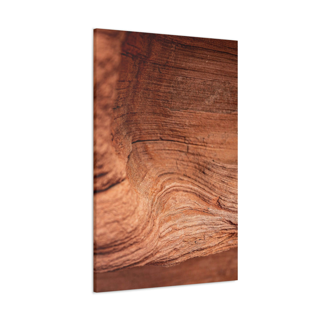 Sedimentary Rock Curves - Canvas