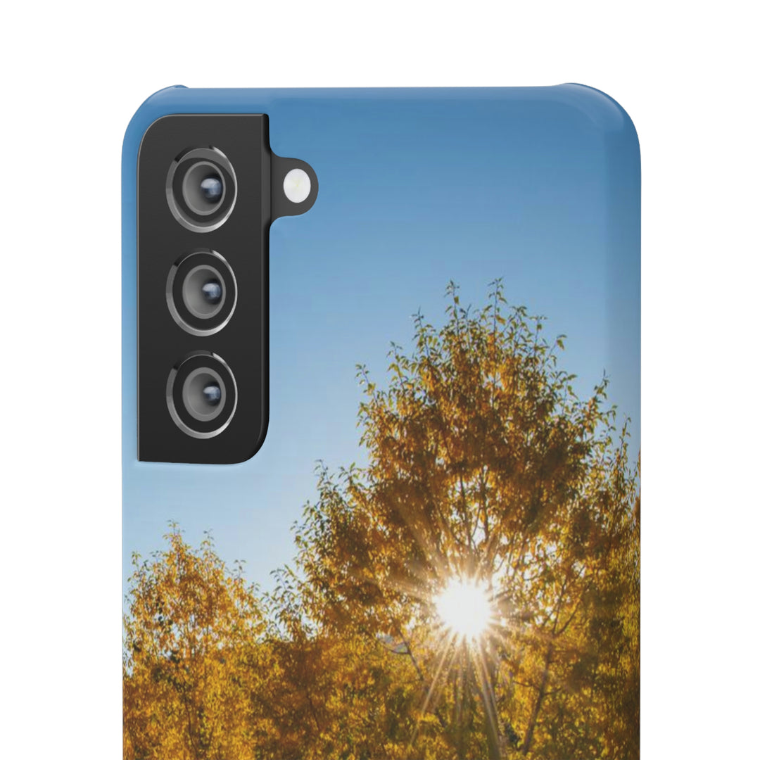 Sun Through the Aspens - Phone Case