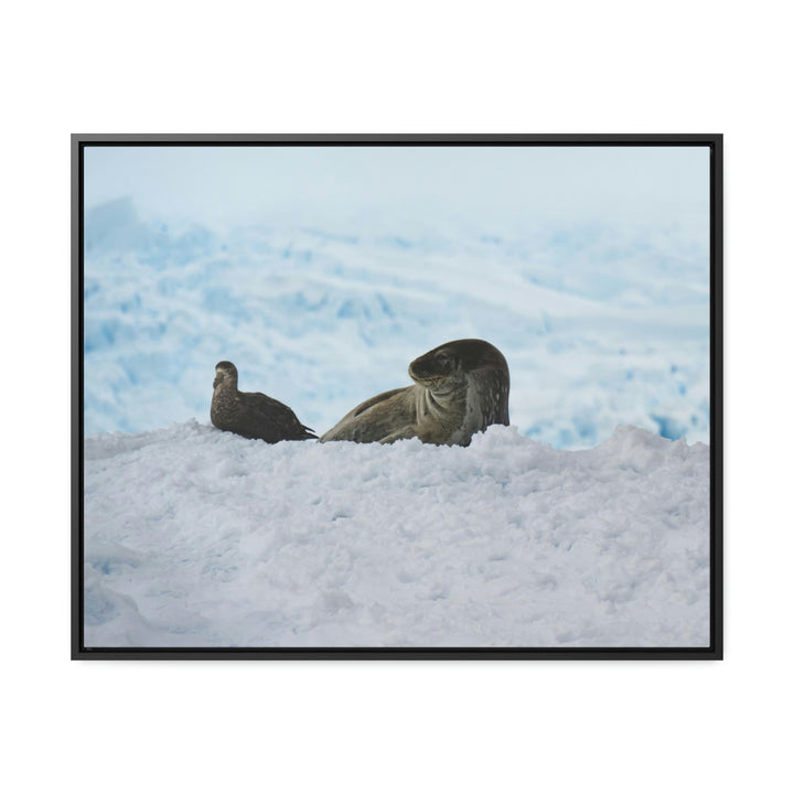 A Resting Pair - Canvas with Frame