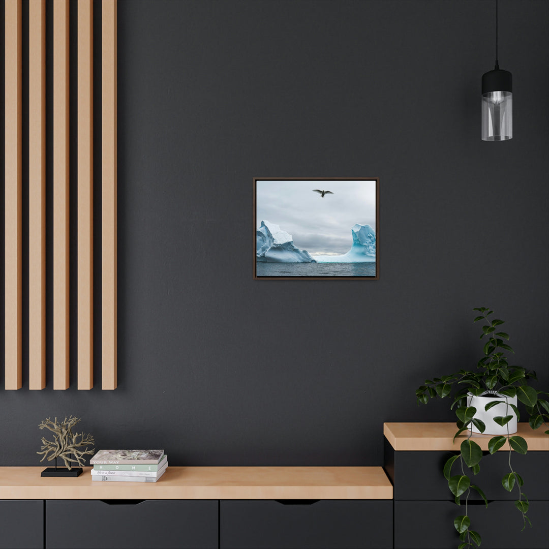 Antarctic Flight - Canvas with Frame