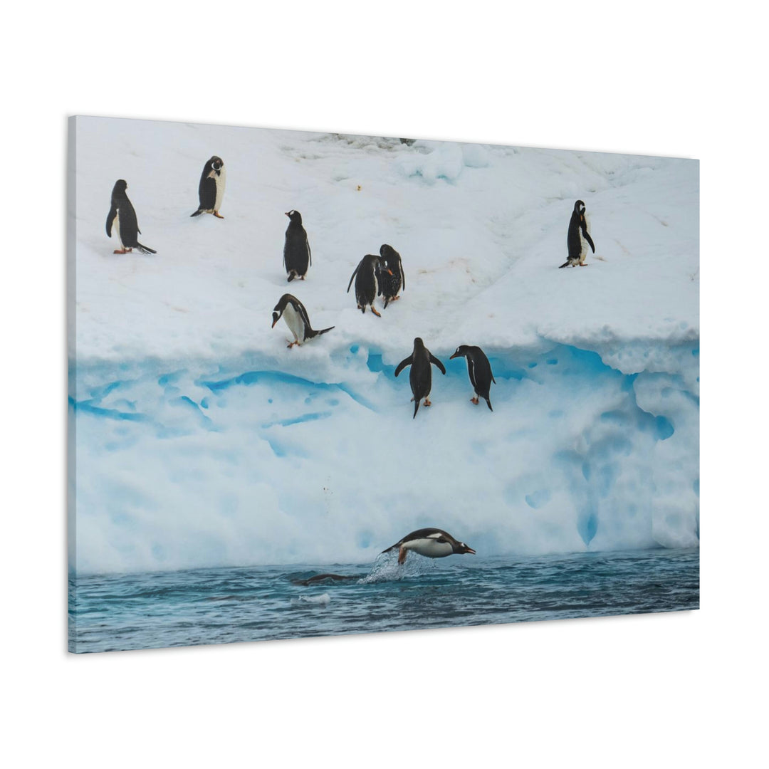 Porpoising Penguin - Canvas