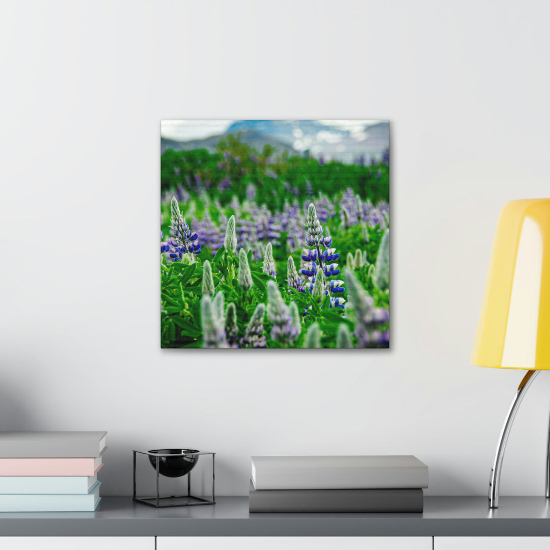 Glowing Lupin with Mountains - Canvas