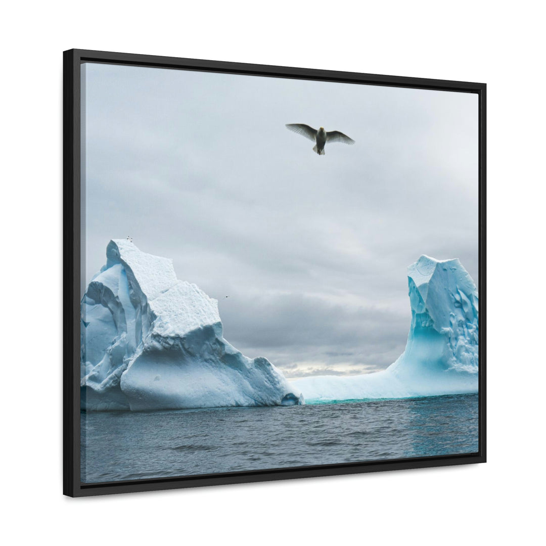 Antarctic Flight - Canvas with Frame