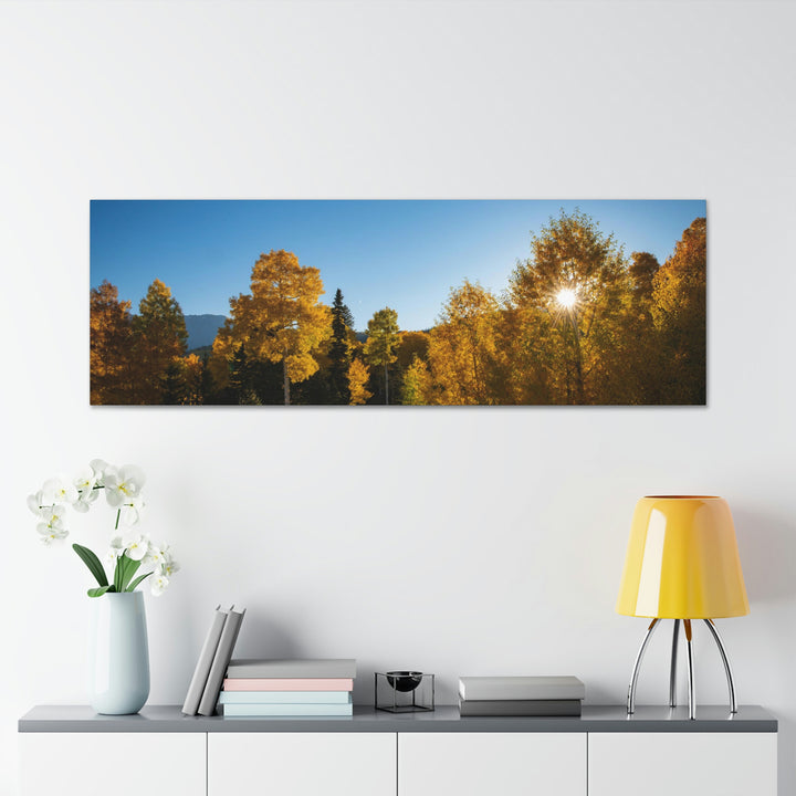 Sun Through the Aspens - Canvas