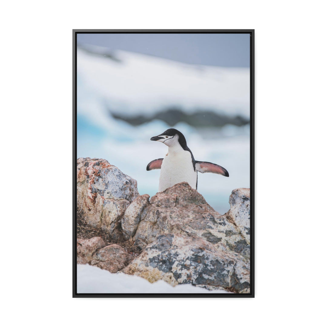 Stretched Penguin - Canvas with Frame