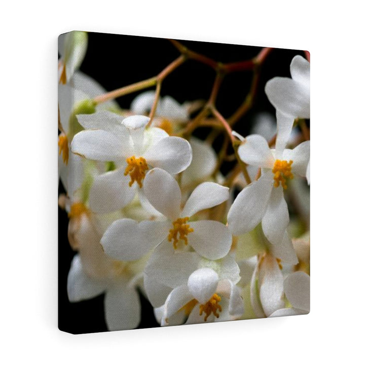 Floral Network - Canvas