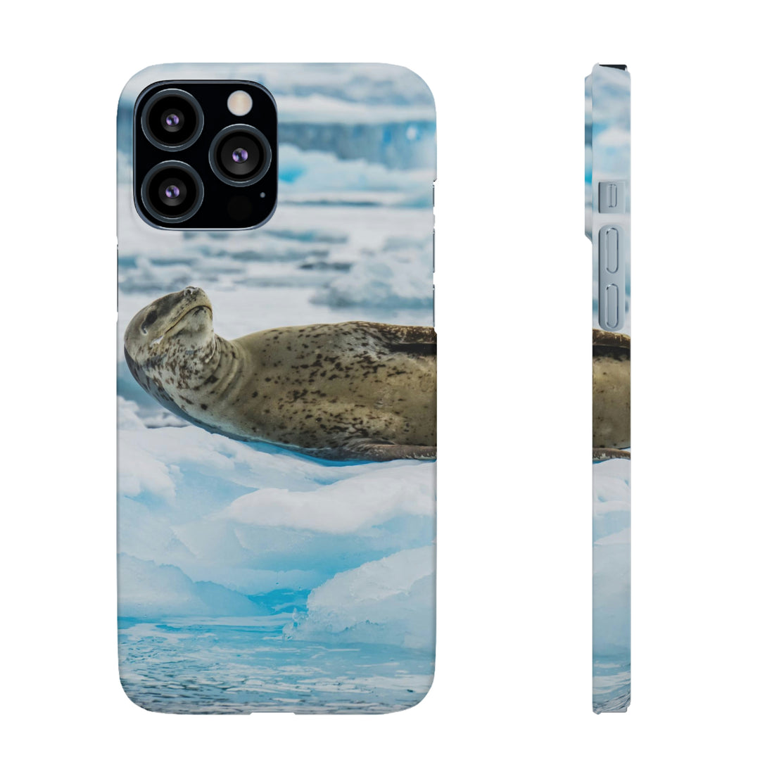 Leopard Seal Relaxing - Phone Case