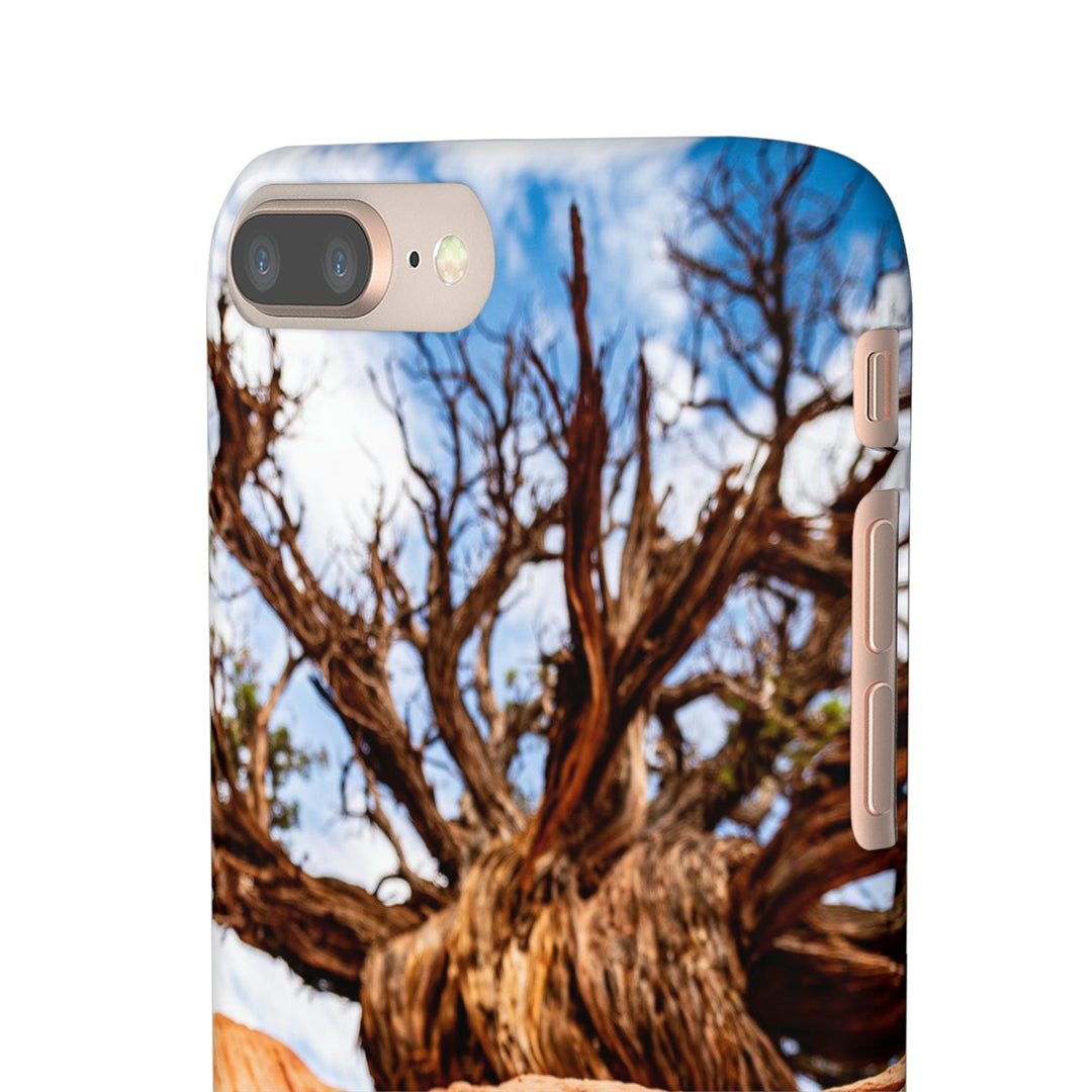 Desert Reach - Phone Case