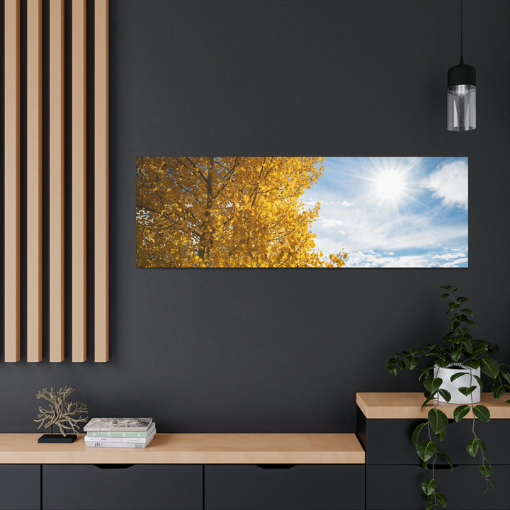 Golden Sunshine - Canvas