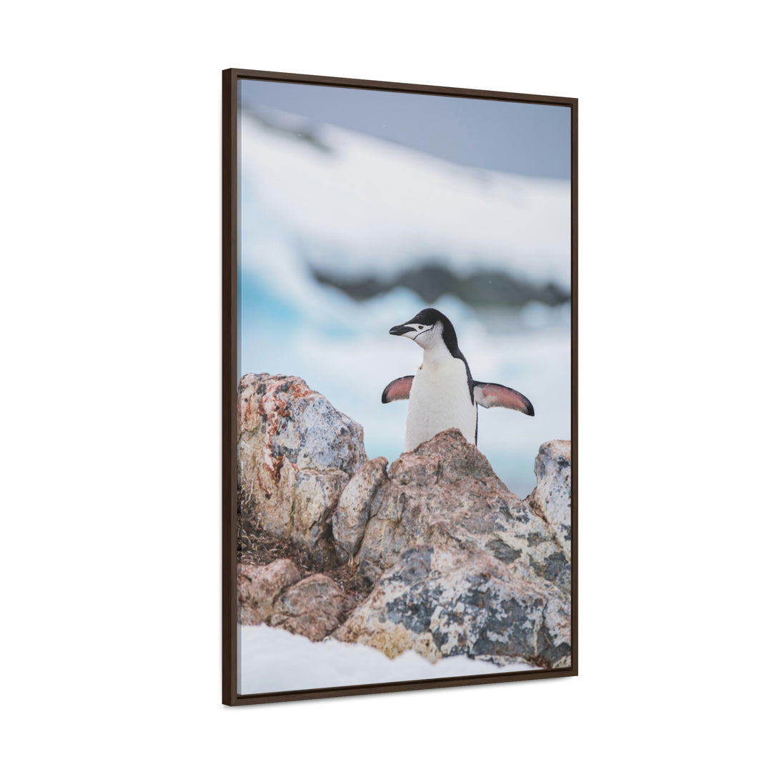 Stretched Penguin - Canvas with Frame