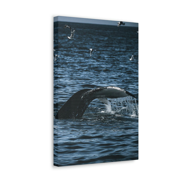 Feeding Tail - Canvas