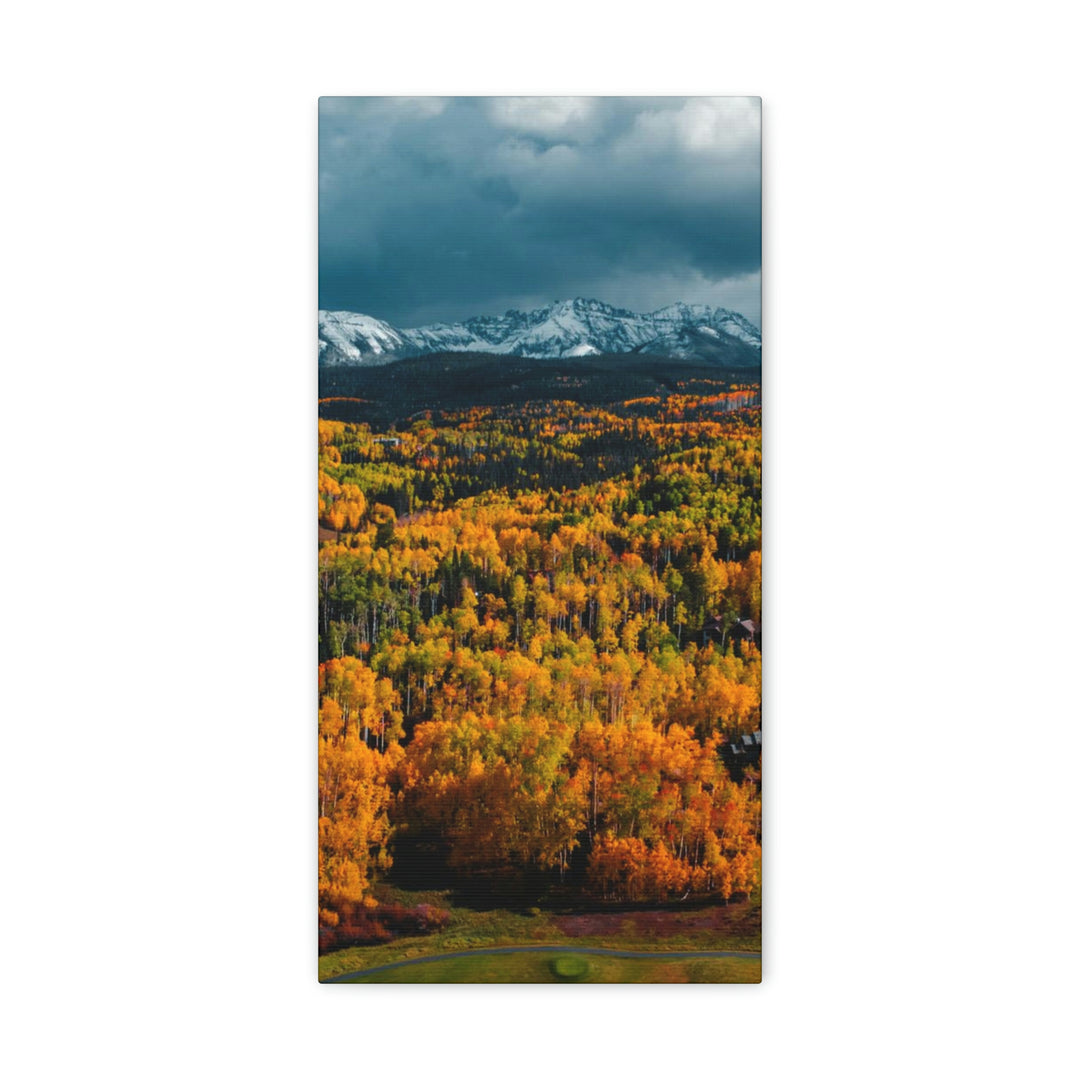 Golds of Autumn - Canvas