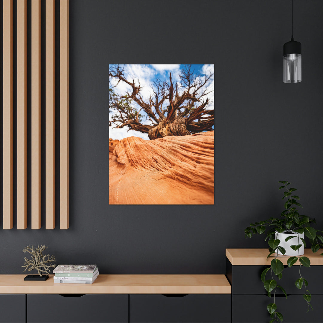 Desert Reach - Canvas