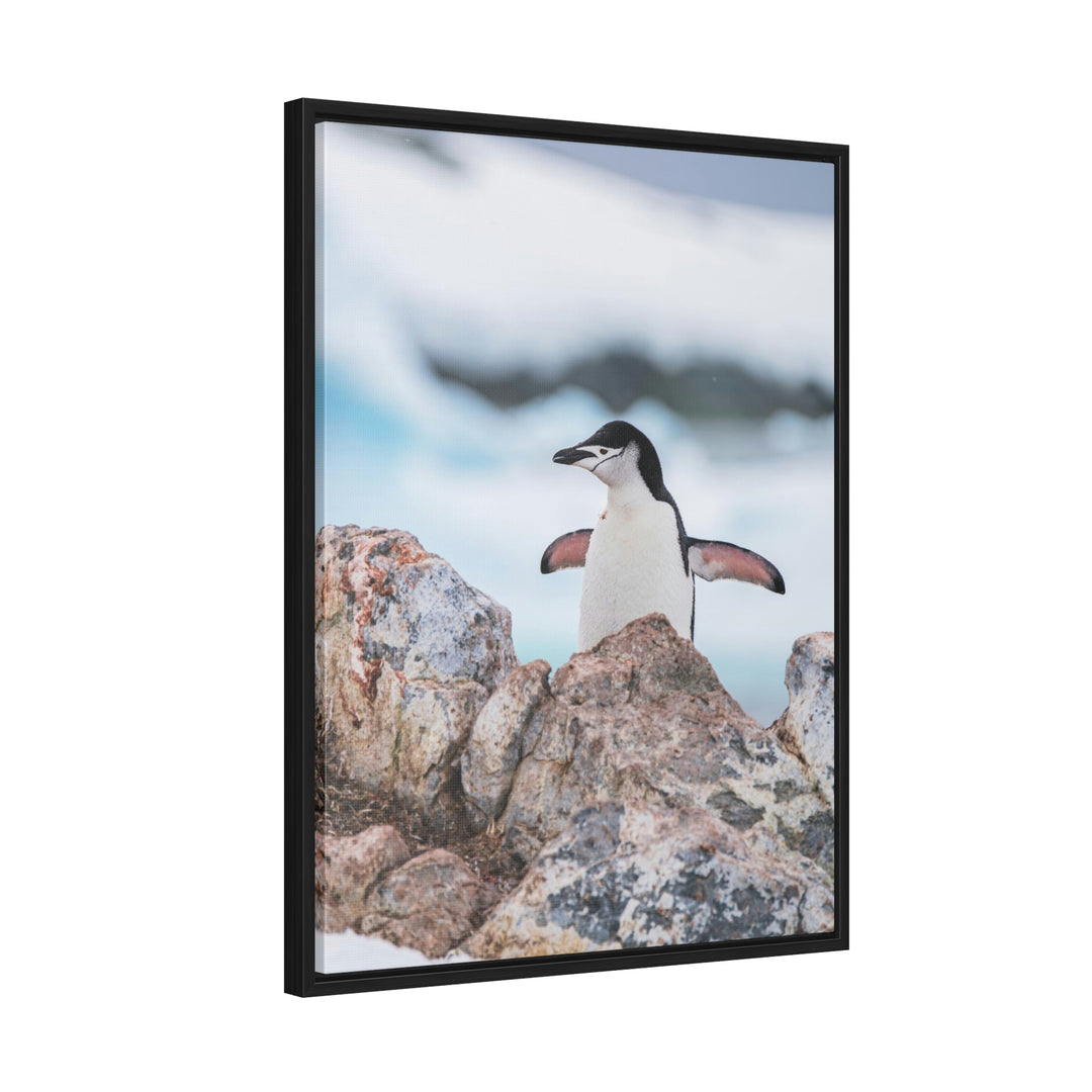 Stretched Penguin - Canvas with Frame