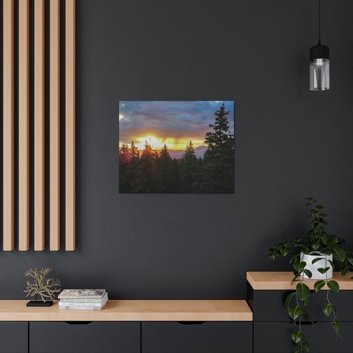 Rainy Sunset Through the Trees - Canvas